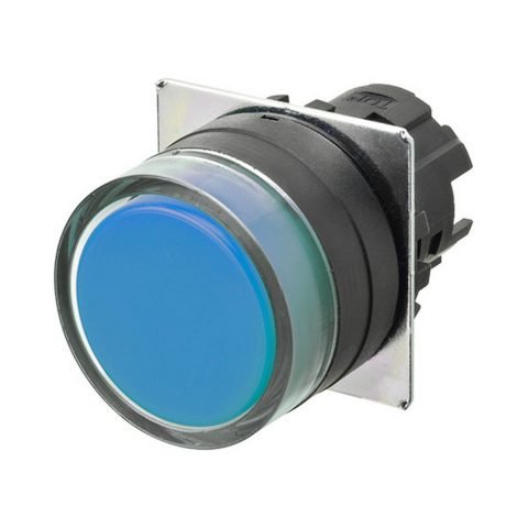 A22NZ BGx NAA 1