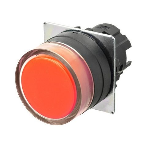 A22NZ BGx NRA 1