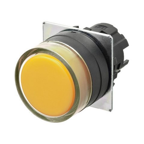 A22NZ BGx NYA 1