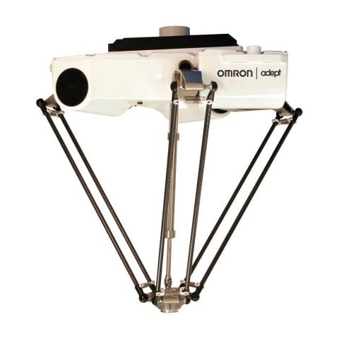 Hornet565