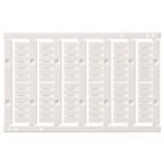 XW5Z P2.5LB1 1 scaled