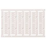 Unmarked Label for terminal blocks 2.5 mm² push-in plus , 72 pcs, Plastic, Front side